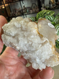 Quartz From Harts Ranges Area 51