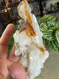 Quartz From Harts Ranges Area 51