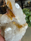 Quartz From Harts Ranges Area 51