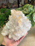 Clear Quartz Cluster 2kgs