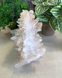 Clear Quartz Cluster 2kgs