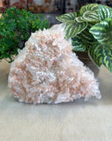 Clear Quartz Cluster 2kgs