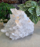 Clear Quartz Cluster 2kgs