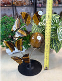 Tiger Eye Butterfly Sphere stand