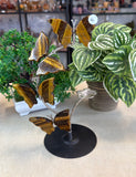 Tiger Eye Butterfly Sphere stand