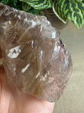 Crocodile Quartz
