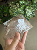 Crocodile Quartz