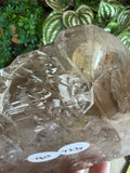 Crocodile Quartz