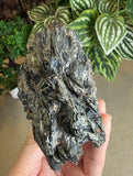 Raw Black Mica with Black Tourmaline