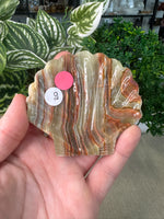 Crystal Shell Plates