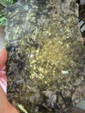 Green Mica Slice