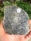 Chillago Marble Slices