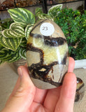 Septarian Free Forms