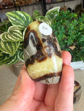 Septarian Free Forms