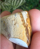 Boulder Opal Pieces from Quilpie