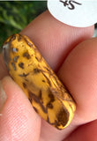 Boulder Opal Pieces from Quilpie
