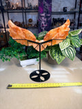 Fire Quartz Heart with wings