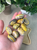 Bumble Bee Jasper Tumbles