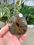 Rainforest Jasper Free Form