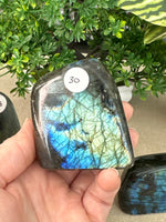 Labradorite Free Forms