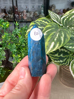 Blue Apatite Points