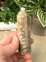 Fossil Coral Jasper Point