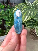 Blue Apatite Points