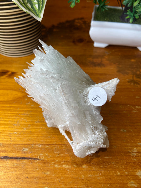 Scolecite