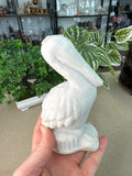 Marble Stone Pelican