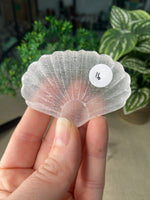 Selenite Shell Carving