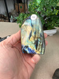 Labradorite Free Forms