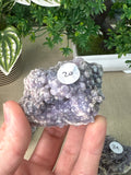 Grape Agate Specimens