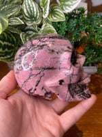 Rhodonite Skull