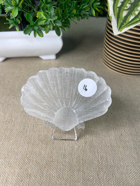 Selenite Shell Carving