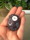 Fluorite Root Palm stones