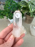 Raw Clear Quartz pieces