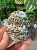 Ocean Jasper Free Form