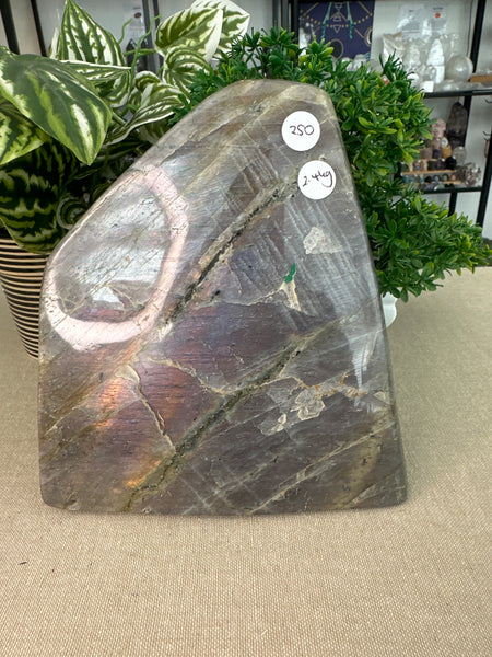 Purple Labradorite Free Form