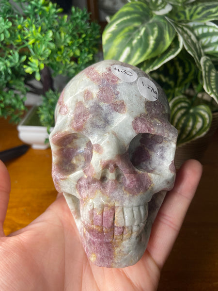 Unicorn Stone Skull