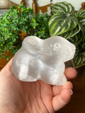 Selenite rabbit