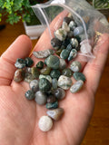 Medium Moss Agate Chips