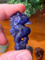 Seahorse Carvings