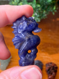 Seahorse Carvings
