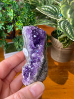 Amethyst Cluster