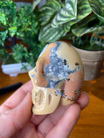 Maligano Jasper skull