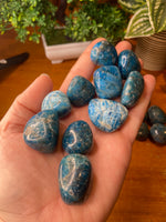 Blue Apatite Tumbles