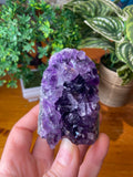 Amethyst Geode