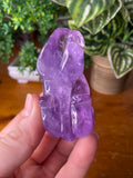 Amethyst Rabbit