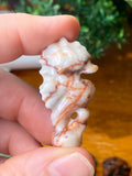 Seahorse Carvings