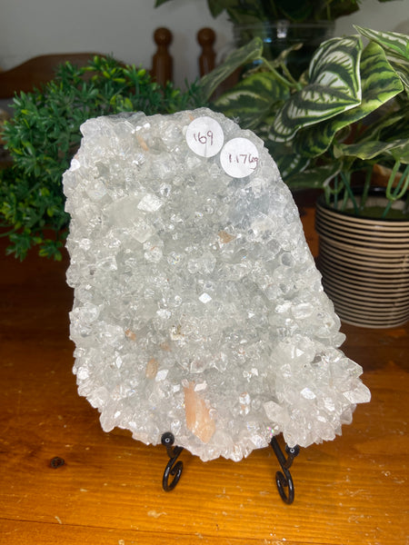 Apophyllite Cluster